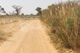 Verger Fruitier de 6686 m² à Malicounda