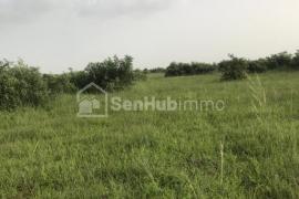 Terrain Agricole de 12,9 hectares à  Tassette