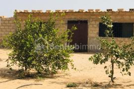 Verger Fruitier de 1,13 hectare à Diender