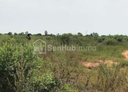 Terrain Agricole de 01 hectare à Diass