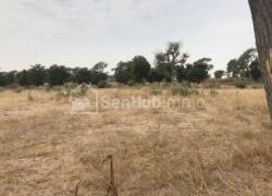 Terrain Agricole de 3,74 hectares à Notto Diobass