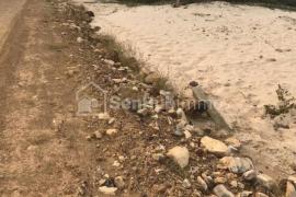 Terrain Agricole de 1 Hectare à Darou Khoudoss