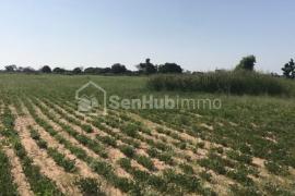 Terrain Agricole de 1,02 Hectare à Sésséne