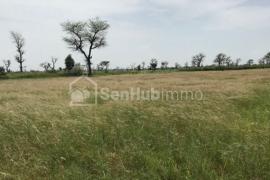 Terrain Agricole de 50 hectares à Mont Rolland