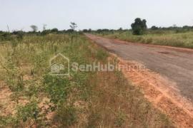 Terrain Agricole de 3,44 hectares à Thiadiaye