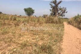 Terrain Agricole de 7408 m² à Fimela