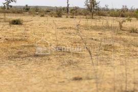 Terrain Agricole de 1,27 hectare à Mont Rolland