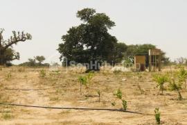 Verger Fruitier de 3,51 hectares à Tassette