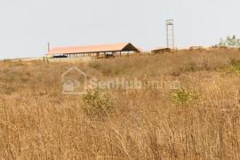 Terrain Agricole de 8979 m² à Sindia