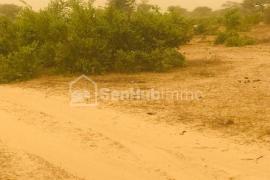 Terrain Agricole de 06 hectares à Thiénaba