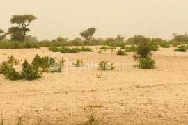 Terrain Agricole de 09 hectares à Thiénaba