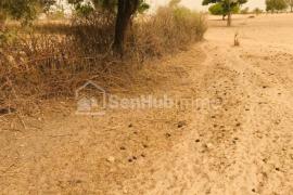Terrain Agricole de 5,96 hectares à Thiénaba