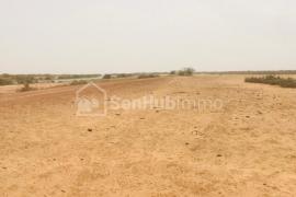 Terrain Agricole de 280 hectares à Diama