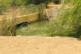 Terrain Agricole de 50 hectares à Diama