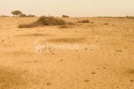 Terrain Agricole de 3,35 hectares à Diama