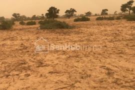 Terrain Agricole de 3,63 hectares à Thiénaba