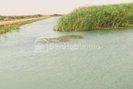 Terrain Agricole de 120 hectares à Diama