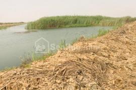 Terrain Agricole de 400 hectares à Diama