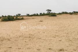 Terrain Agricole de 50 hectares à Tassette