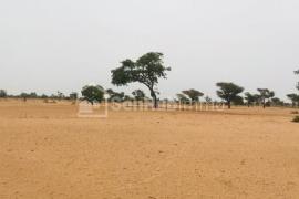 Terrain Agricole de 1,58 hectare à Tassette