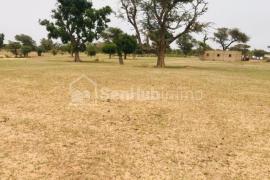 Terrain Agricole de 1,68 hectare à Tassette