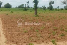 Terrain Agricole de 5200 m² à Sandiara