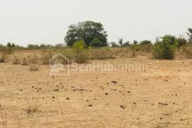 Terrain Agricole de 3912 m² à Notto Diobass