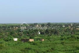 TERRAIN A VENDRE A DIASS