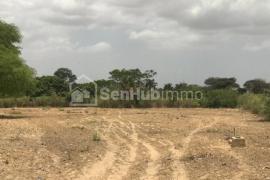 Terrain Agricole de 4634 m² à Fandéne