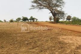 Verger Fruitier de 1,21 hectare à Fandene