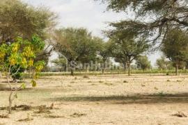 Verger Fruitier de 1,06 hectare à Fandene
