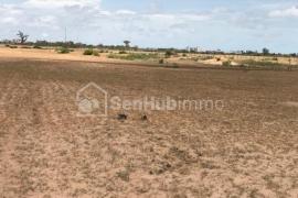 Terrain Agricole de 2543 m² à Sandiara