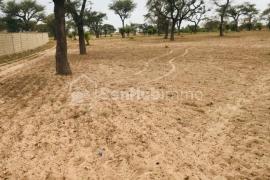 Terrain Agricole de 3326 m² à Sandiara