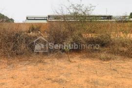 Terrain Agricole de 8343 m² à Keur Moussa