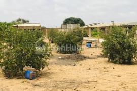 Ferme Agricole de 7713 m² à Diender