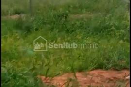 Verger Fruitier de 1,6 hectare à Darou Khoudoss