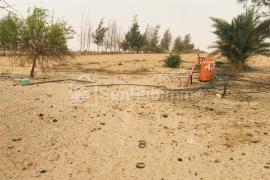 Verger Agricole de 07 hectares à Diama