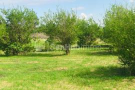 Verger Fruitier de 2,58 hectares à Diender