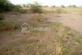 Terrain Agricole de 1,5 hectare à Ngueniene