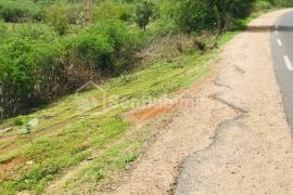 Verger Fruitier de 2819 m² à Diender