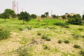 Ferme Agricole de 6784 m² à Diender
