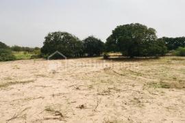 Verger Fruitier de 5100 m² à Diender