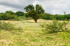 Verger Fruitier de 4130 m² à Diender