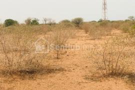 Terrain Agricole de 9061 m² à Sindia