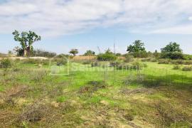 Terrain Agricole de 1,2 hectare à Diender