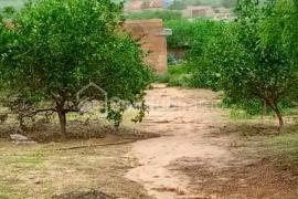 Ferme Agricole de 1,04 hectare à Diass