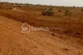 Terrain Agricole de 12,02 hectares à Tassette