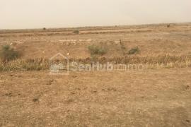 Terrain Agricole de 1,86 hectare à Keur Moussa