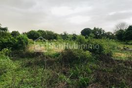 Verger Fruitier de 5600 m² à Fandéne