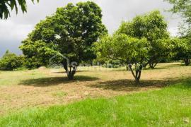 Verger Fruitier de 8890 m² à Fandéne